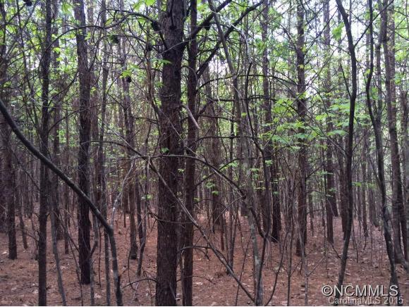 Tbd Blanton Road Mill Spring, NC 28756 - Photo 6 of 15 a view of forest