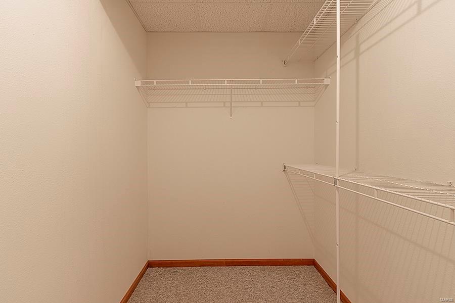 13303 Field Crest Road Highland, IL 62249 - Photo 47 of 64