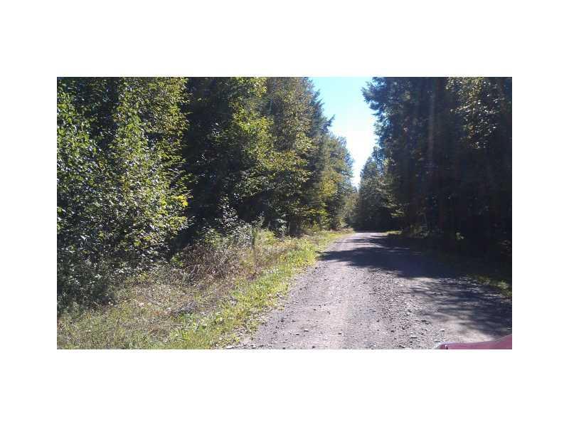 Lot # Pratt Cove Road Island Falls, ME 04747 - Photo 5 of 6 Land/Lot.