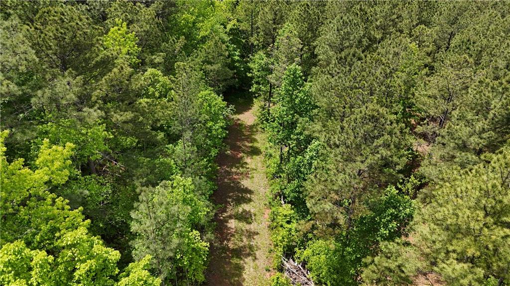 1 Wilson Road Temple, GA 30179 - Photo 80 of 88 a view of a lush green forest