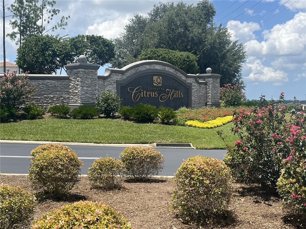 a view of a garden with an ocean view