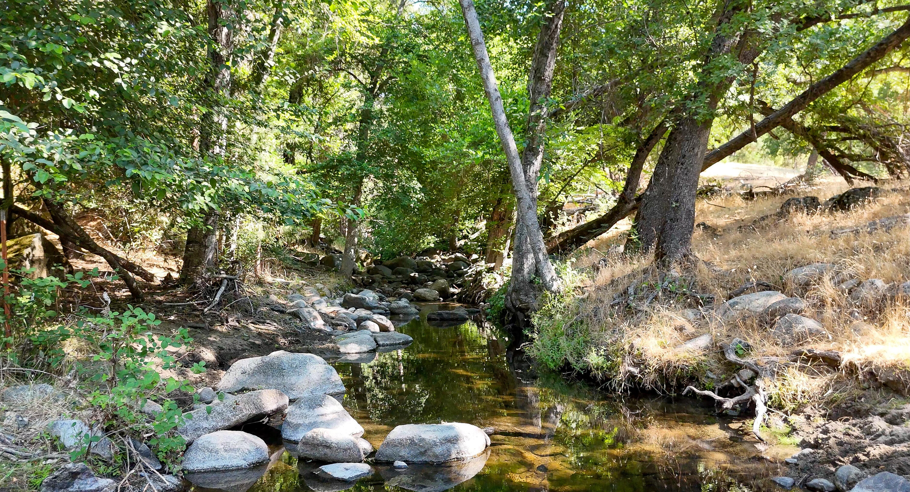 0 Whitaker Forest Road Miramonte, CA 93603 - Photo 11 of 15 Seasonal Creek