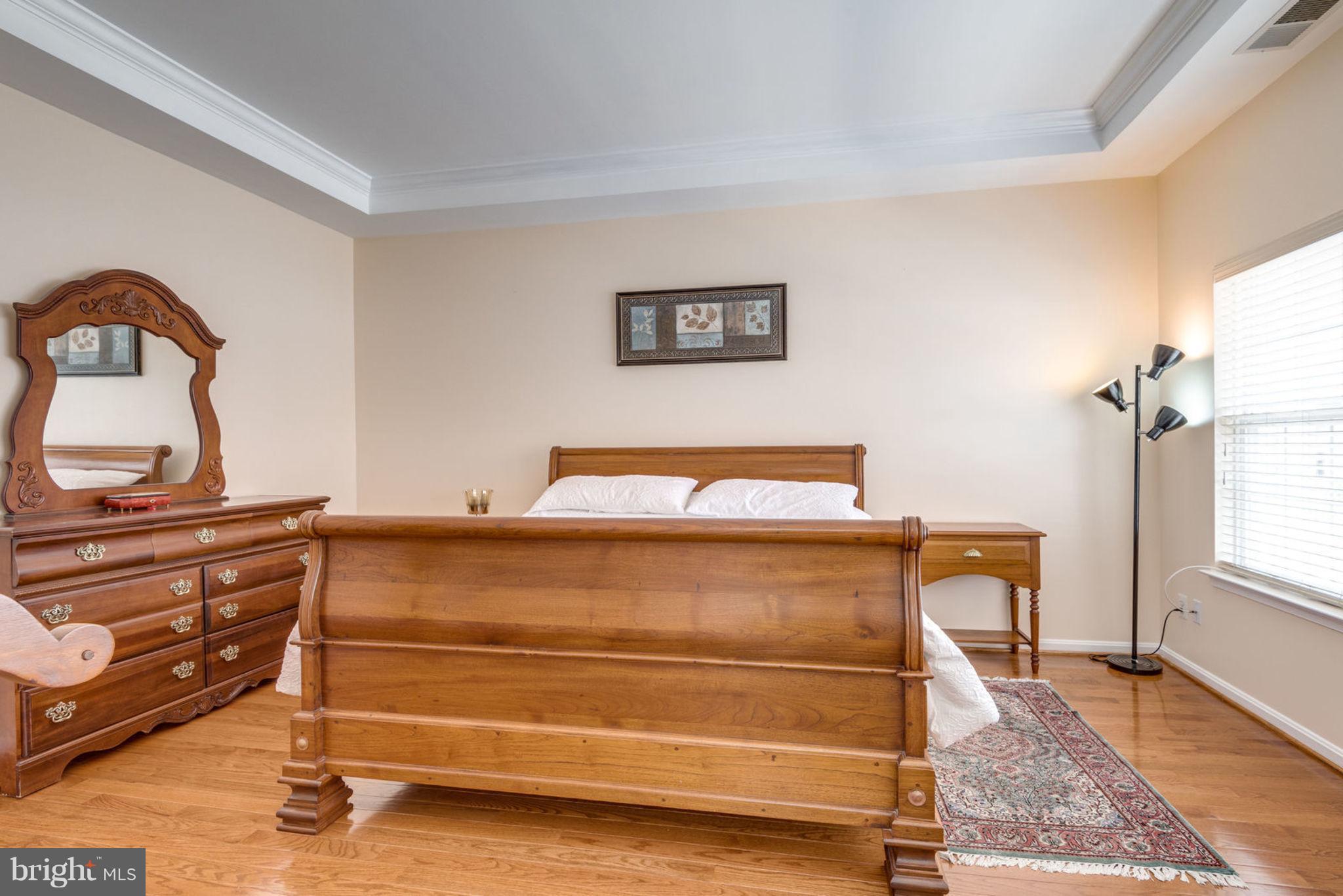 42431 Rockslide Terrace Ashburn, VA 20148 - Photo 17 of 27 Bedroom (Master)