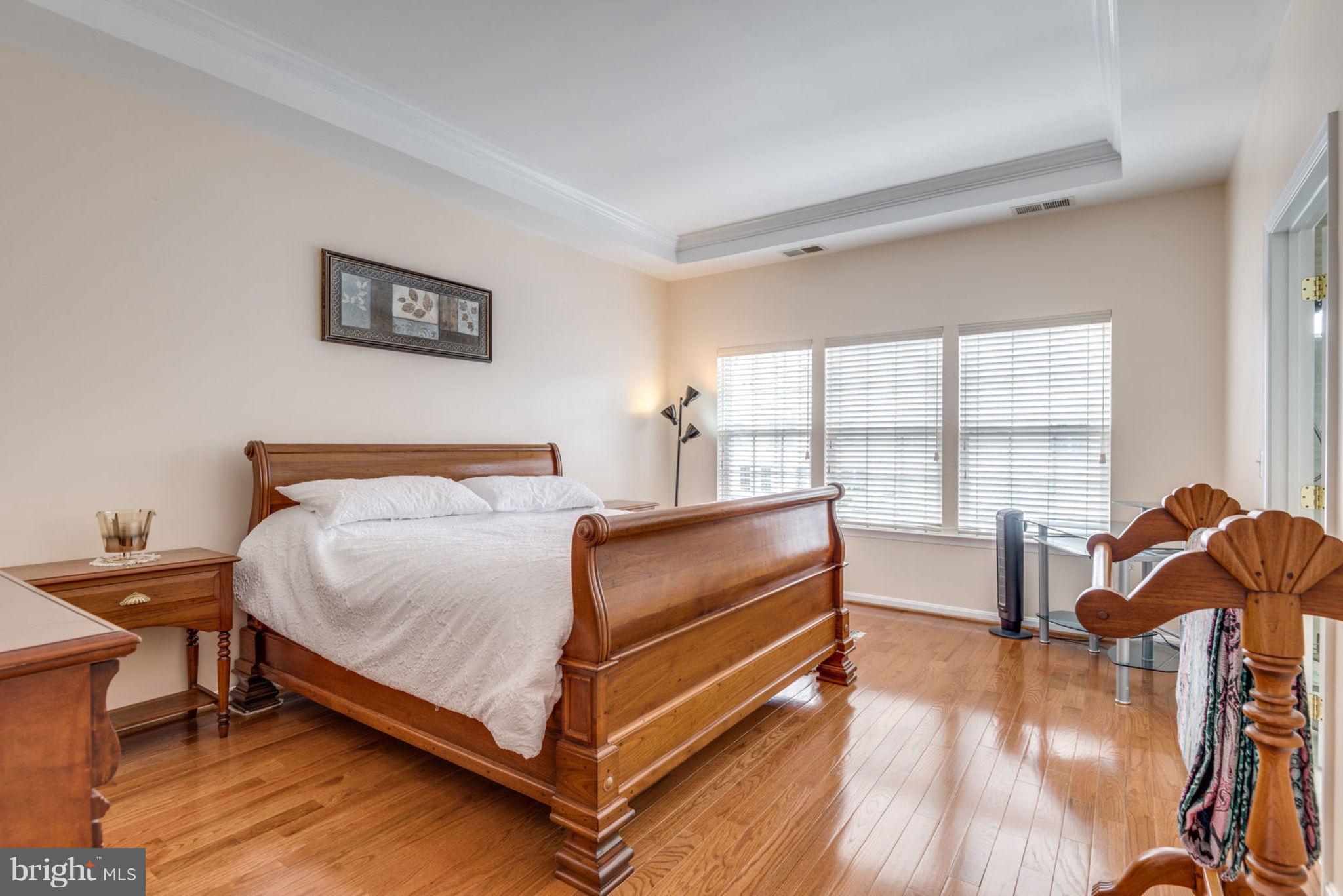 42431 Rockslide Terrace Ashburn, VA 20148 - Photo 18 of 27 Bedroom (Master)