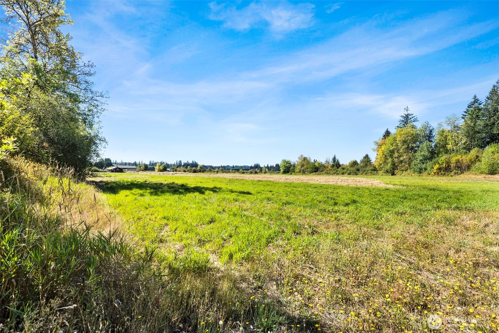 165 Taylor Road South Chehalis, WA 98532 - Photo 21 of 24 Gallery Image 21