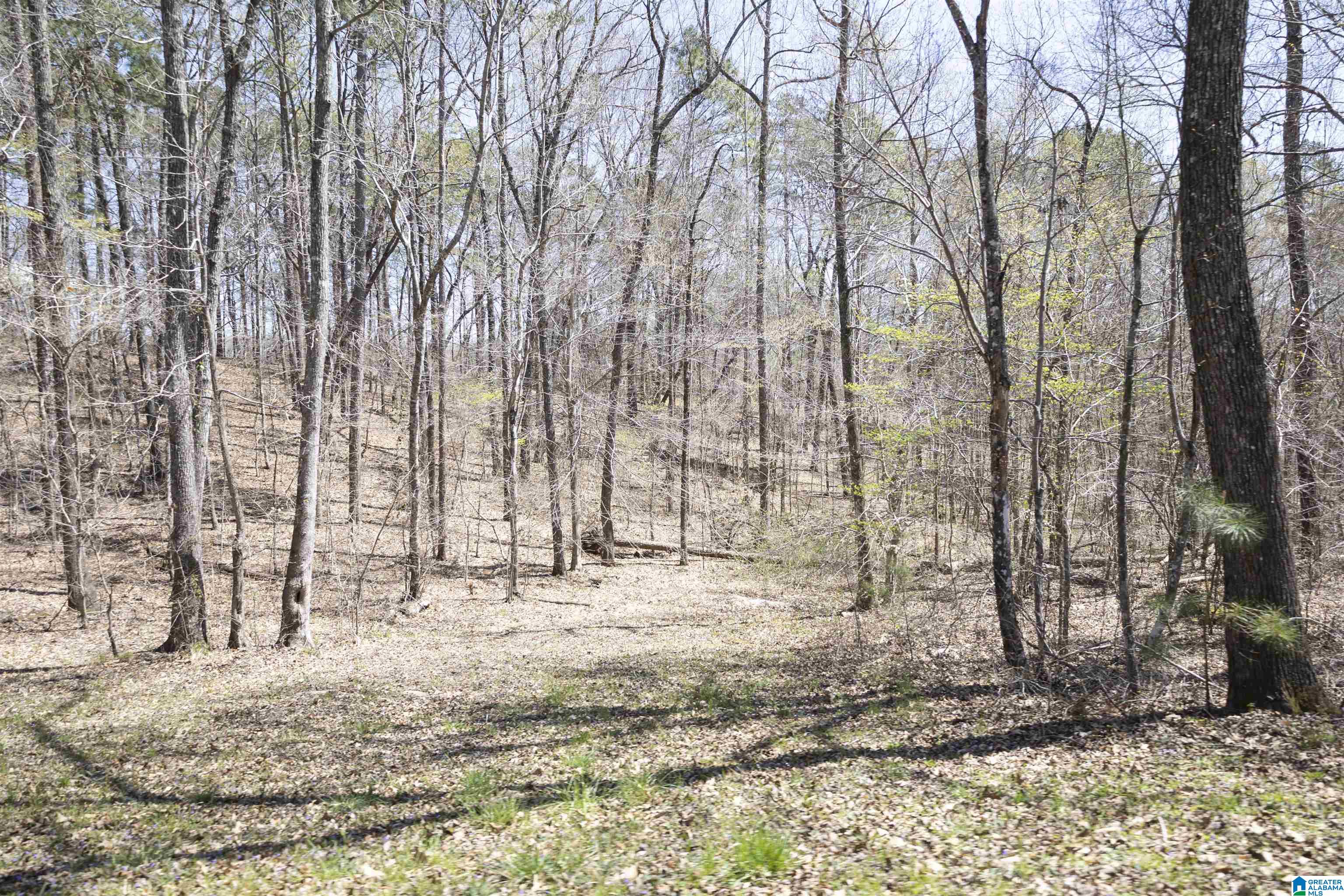 73301 Highway 49 Delta, AL 36258 - Photo 16 of 18