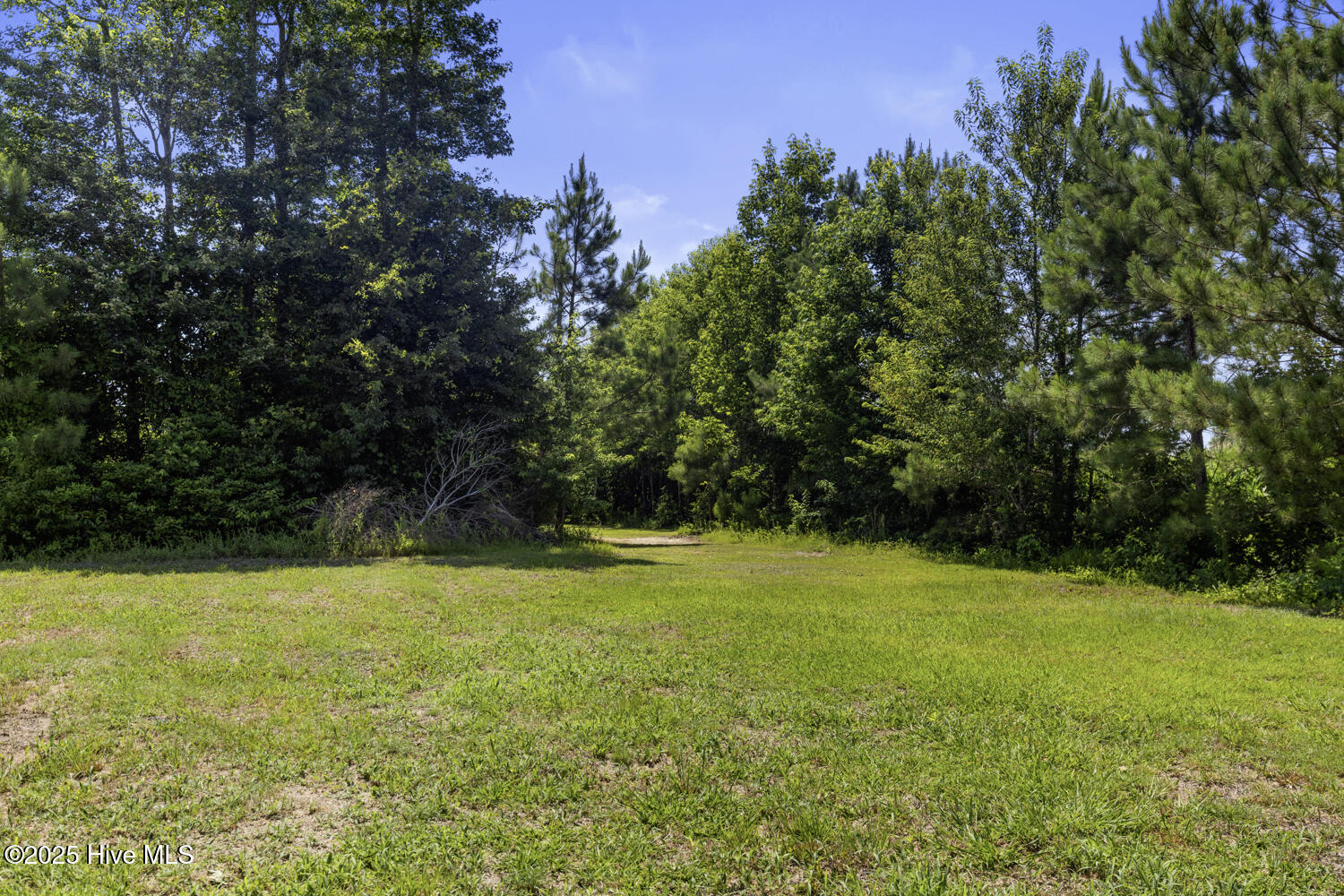 1088 Haw Branch Road Beulaville, NC 28518 - Photo 26 of 27 hawbranch-27
