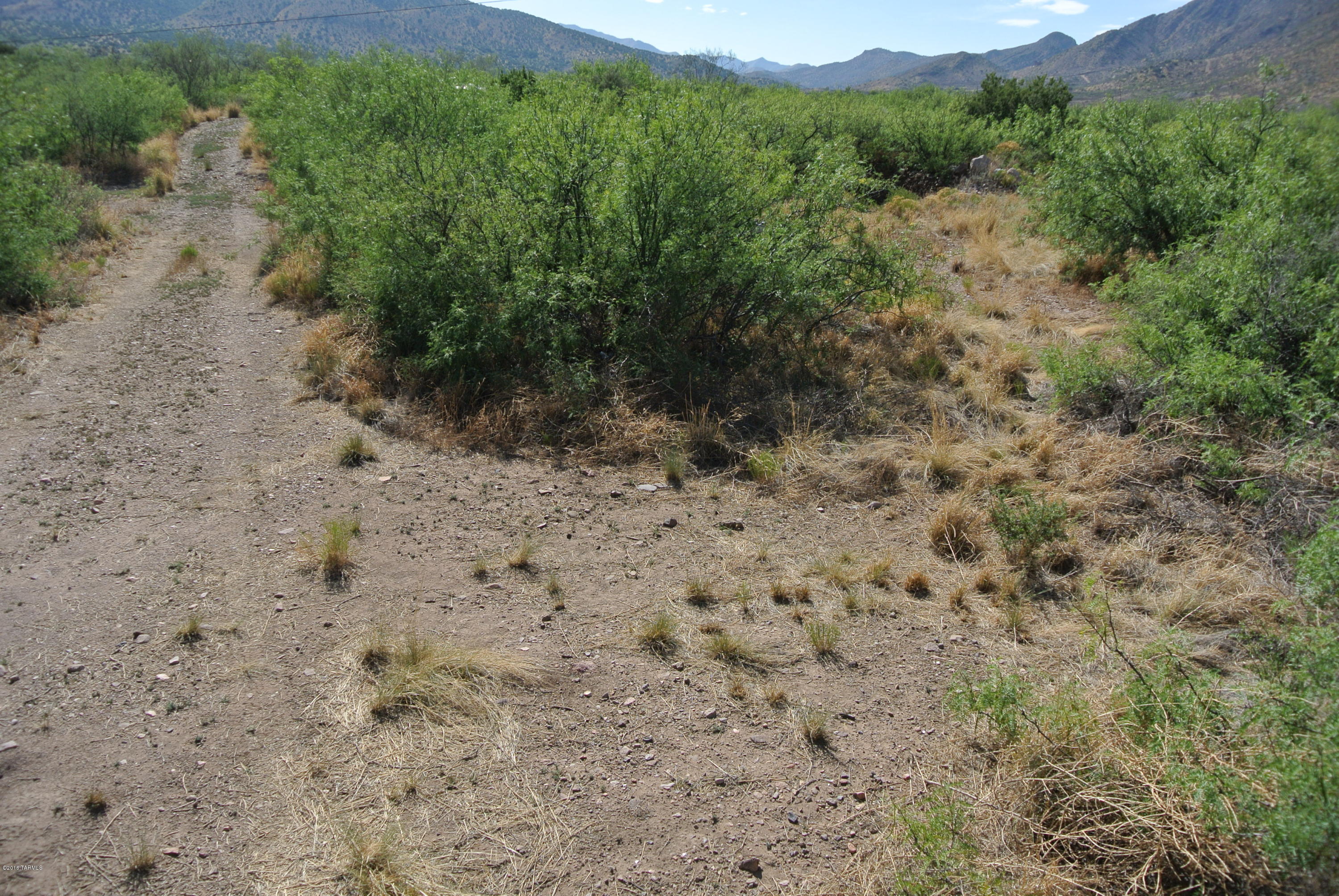0 South Cathedral Rock Road San Simon, AZ 85632 - Photo 10 of 15