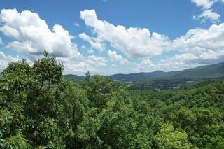 17 Grouse Ridge Lane Sevierville, TN 37862 - Photo 4 of 11 Gallery Image 4