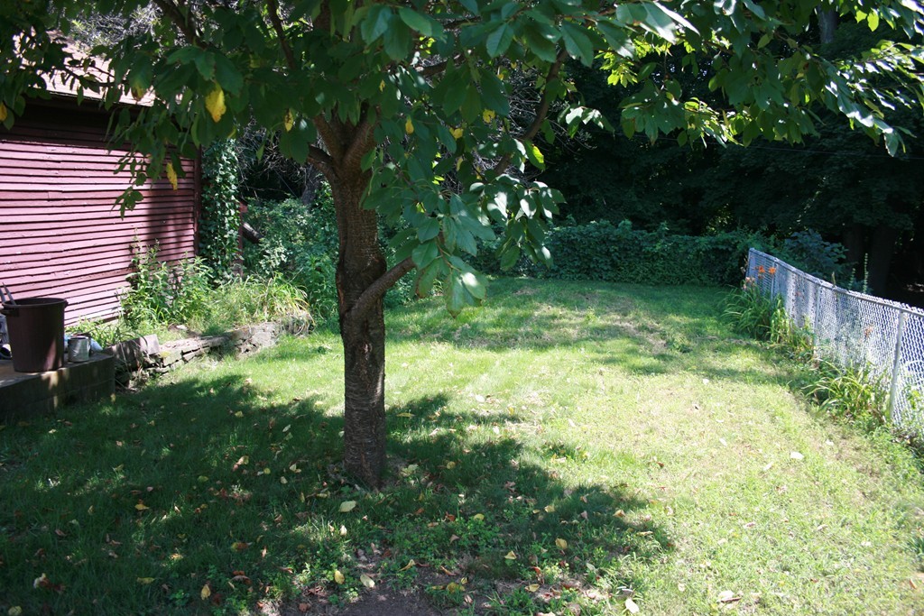 113 Norfolk Street Springfield, MA 01109 - Photo 32 of 33 Gallery Image 32