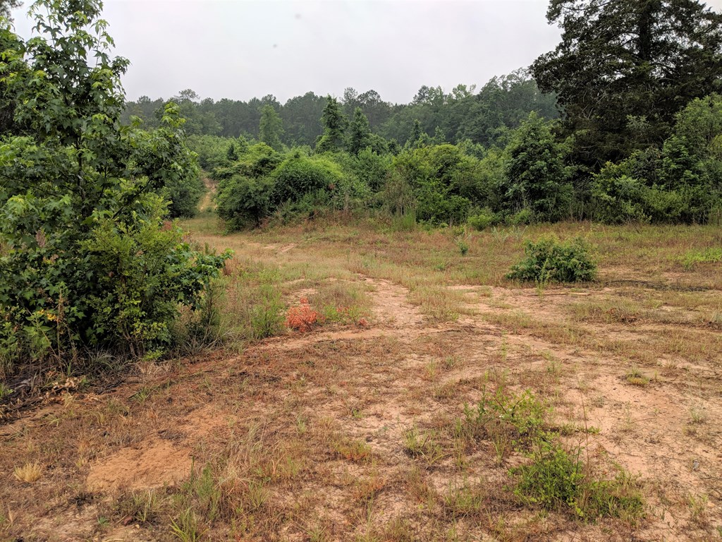 467 Rustin Road Reynolds, GA 31076 - Photo 11 of 13