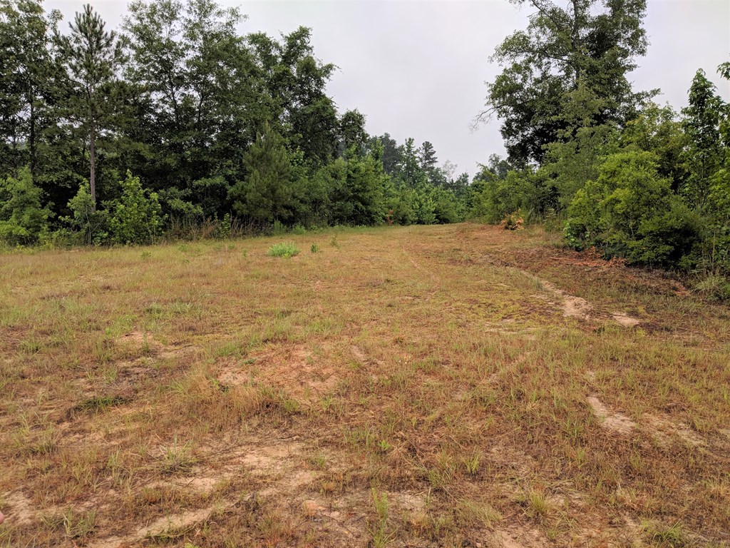 467 Rustin Road Reynolds, GA 31076 - Photo 12 of 13