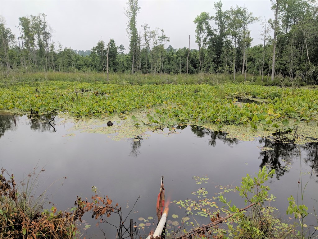 467 Rustin Road Reynolds, GA 31076 - Photo 2 of 13