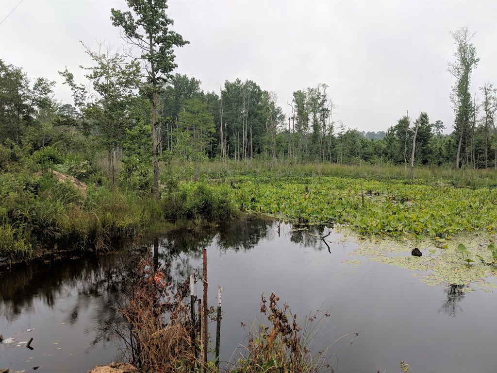 467 Rustin Road Reynolds, GA 31076 - Photo 3 of 13