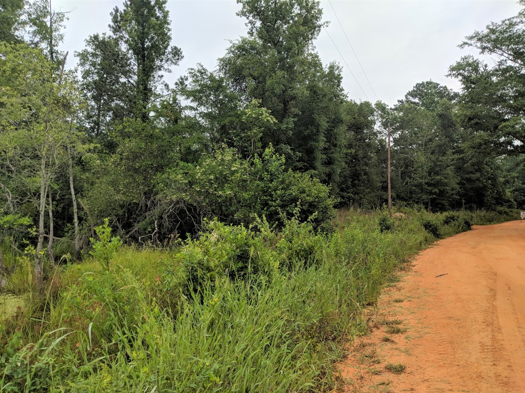 467 Rustin Road Reynolds, GA 31076 - Photo 5 of 13