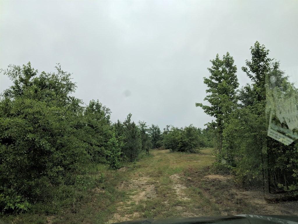 467 Rustin Road Reynolds, GA 31076 - Photo 8 of 13