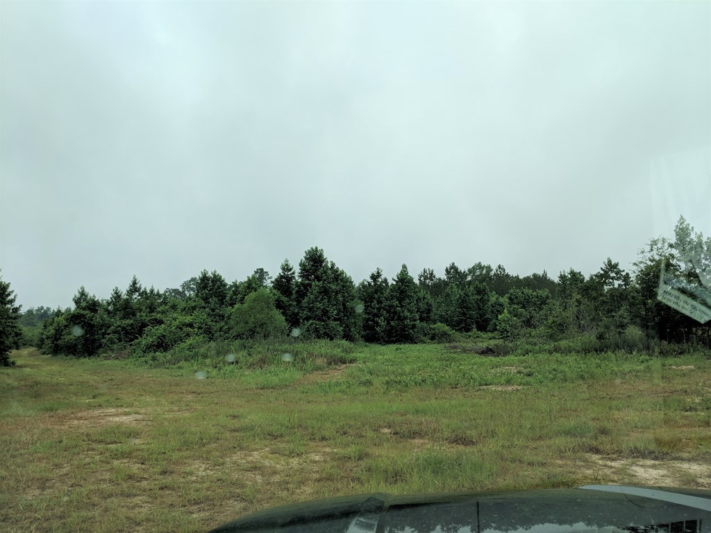 467 Rustin Road Reynolds, GA 31076 - Photo 9 of 13