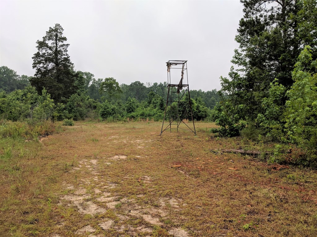 467 Rustin Road Reynolds, GA 31076 - Photo 10 of 13