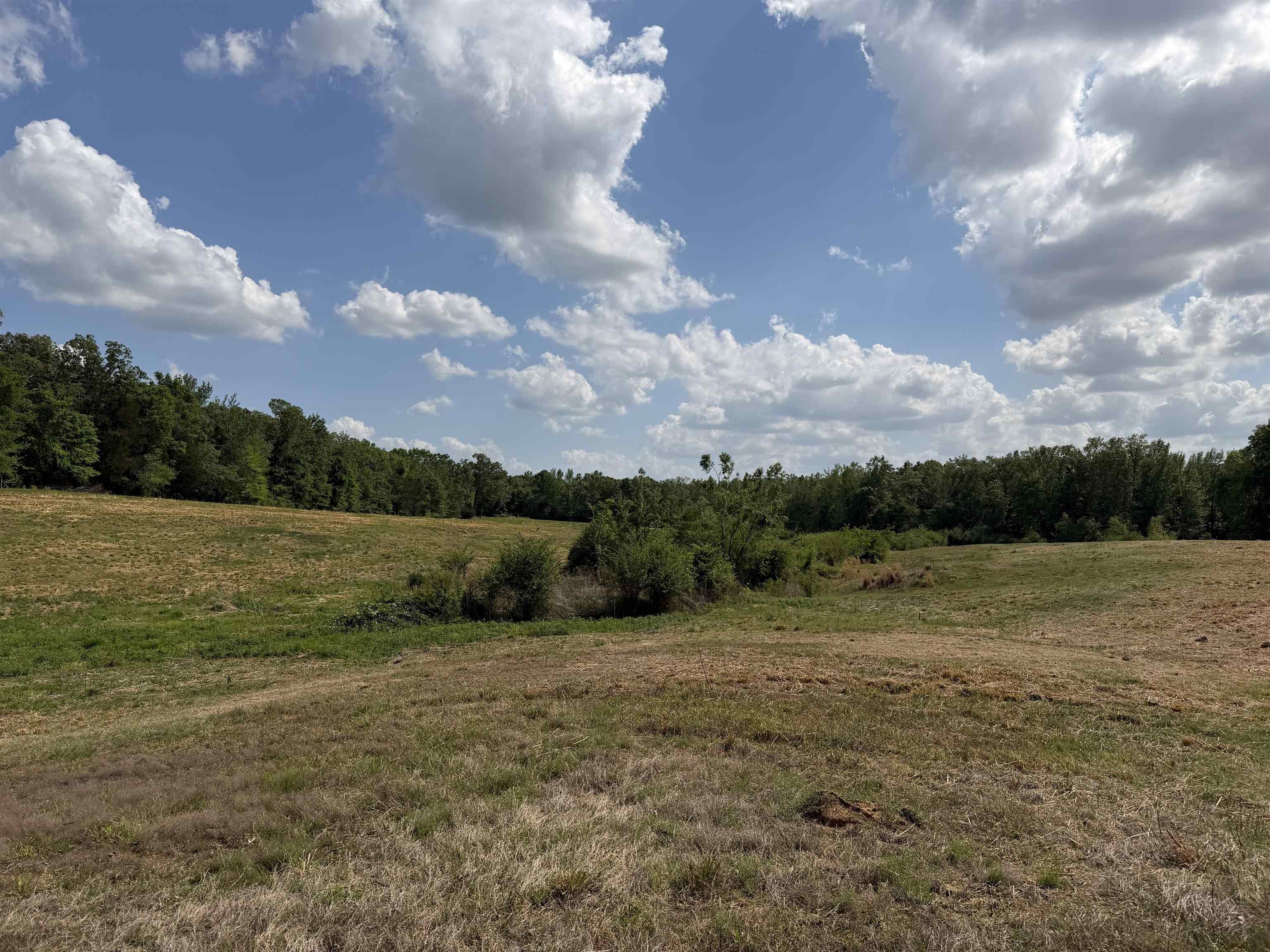 2 Saltillo Road Morris Chapel, TN 38361 - Photo 20 of 40