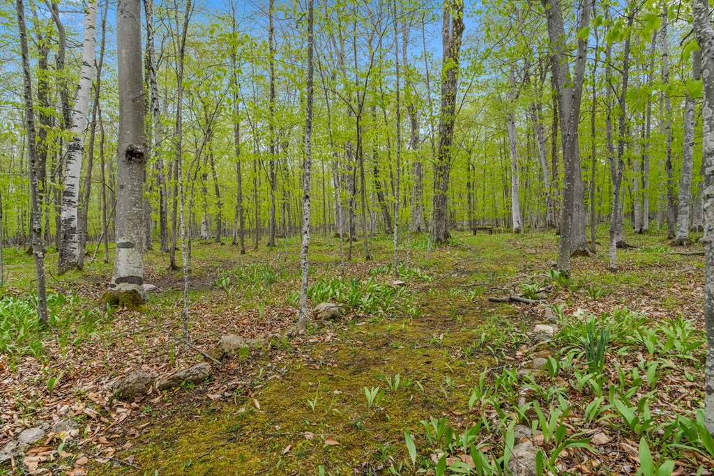 Tbd Mink River Road Ellison Bay, WI 54210 - Photo 3 of 4