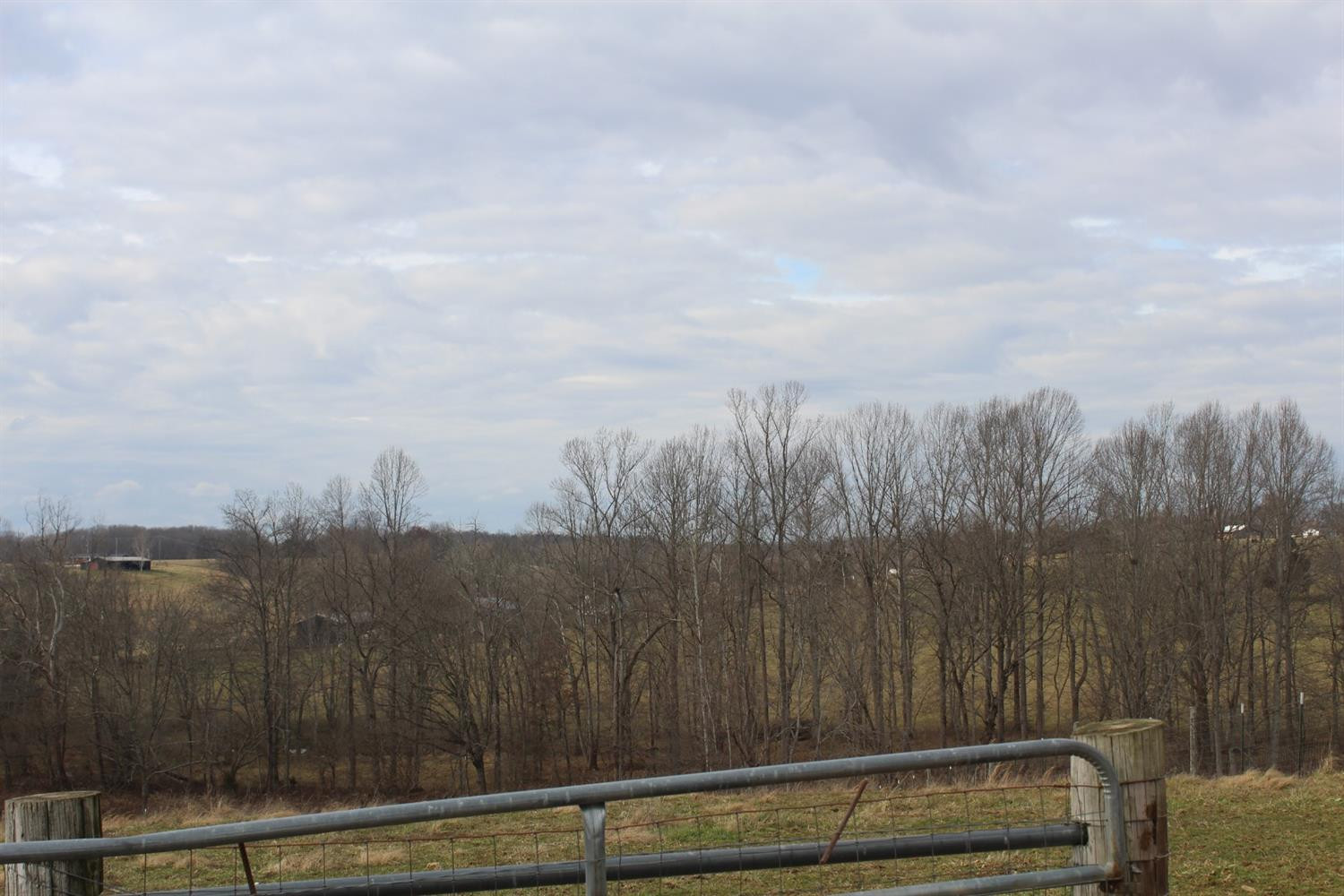 4570 Quail Road Brodhead, KY 40409 - Photo 5 of 18 Photo 5