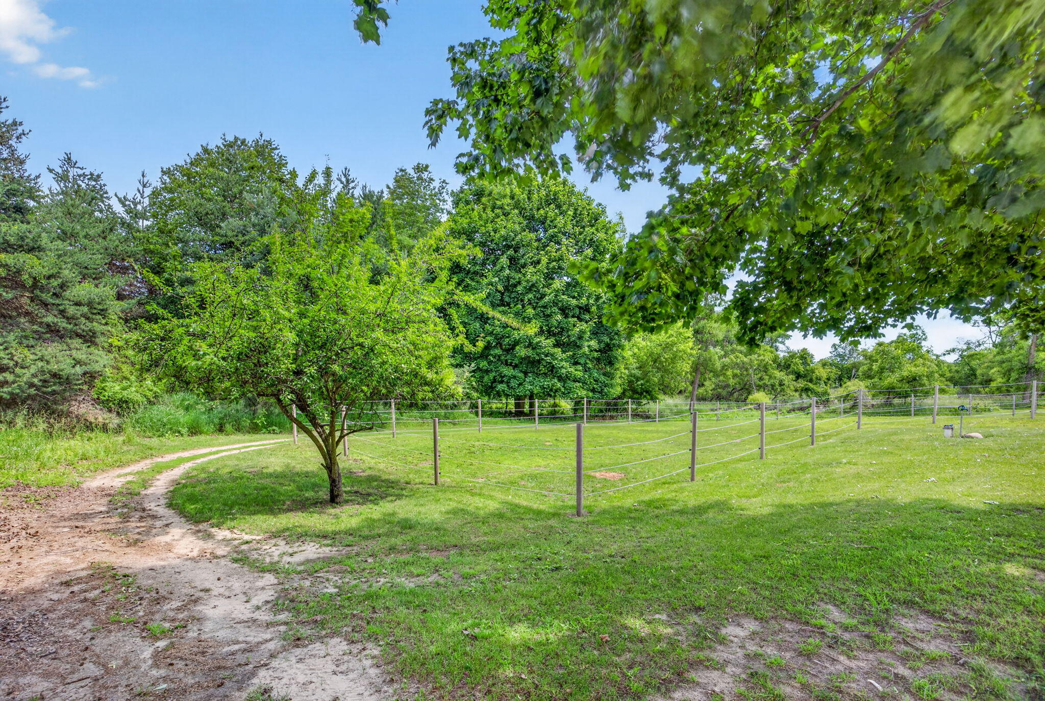 5110 Cedar Lake Road Northeast Edmore, MI 48829 - Photo 7 of 50 9-web-or-mls-3Y2A2339