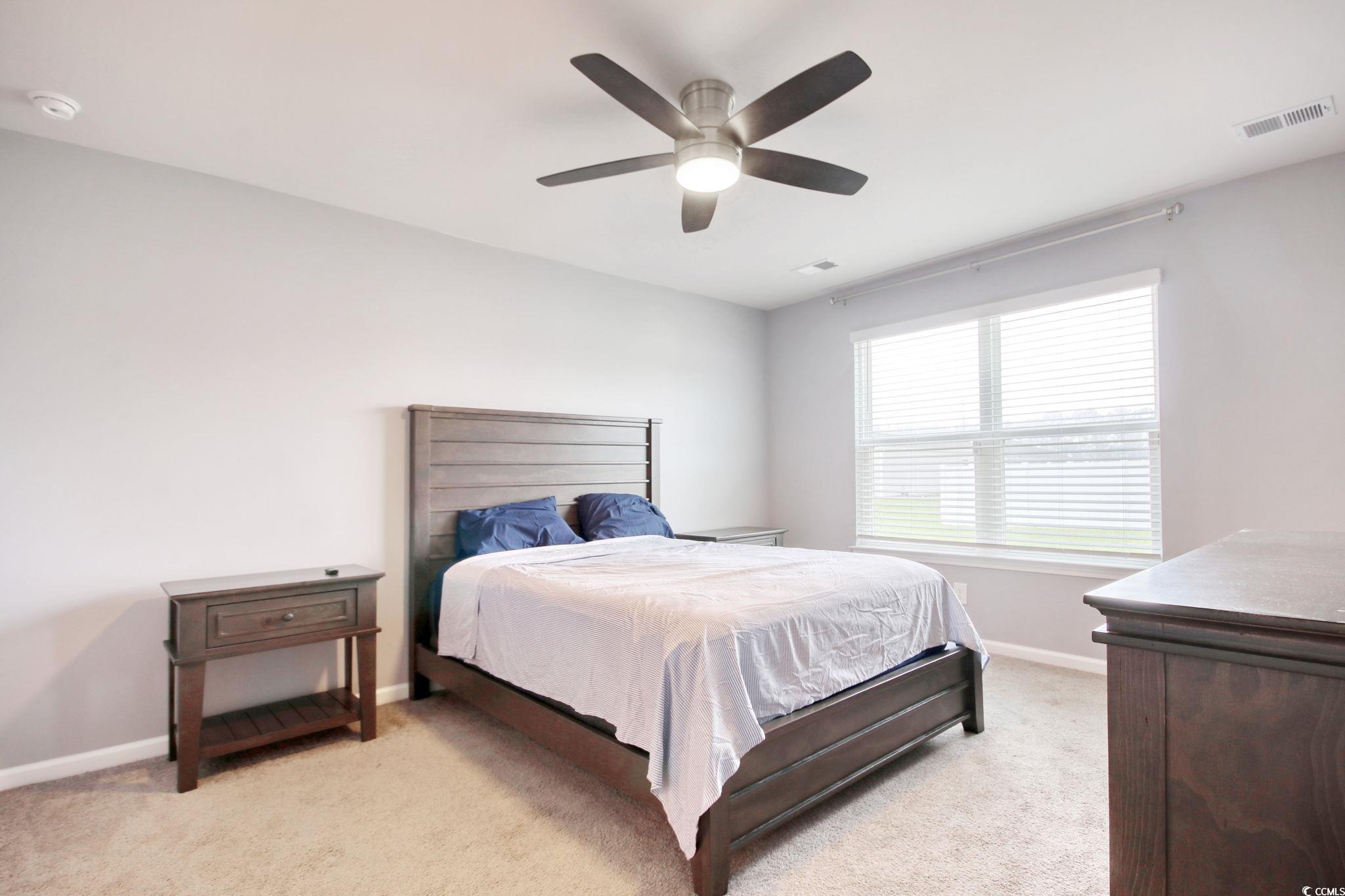 211 Seasons Trace Loop Longs, SC 29568 - Photo 19 of 37 Bedroom featuring light carpet and a ceiling fan