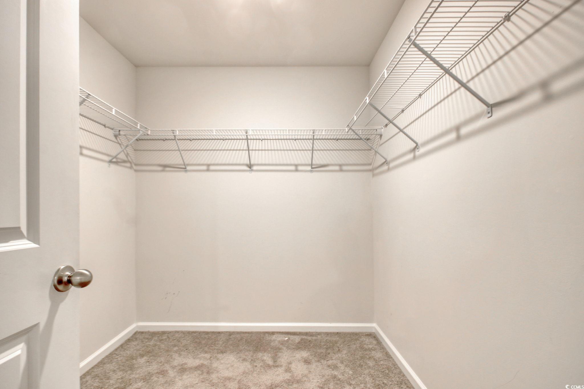 211 Seasons Trace Loop Longs, SC 29568 - Photo 23 of 37 Walk in closet featuring carpet floors