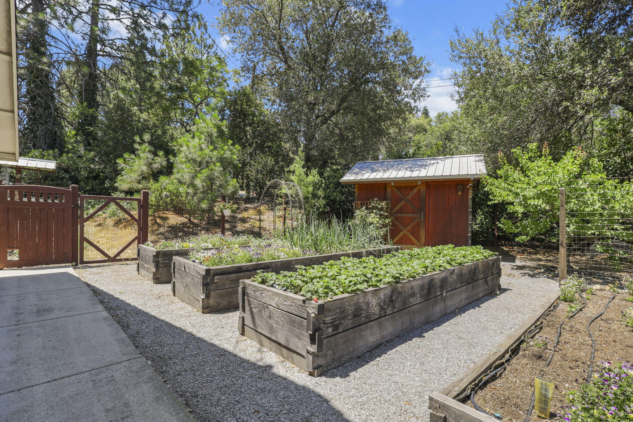 17717 Walker Mine Road Redding, CA 96003 - Photo 43 of 50 49-web-or-mls-LZ0A1115