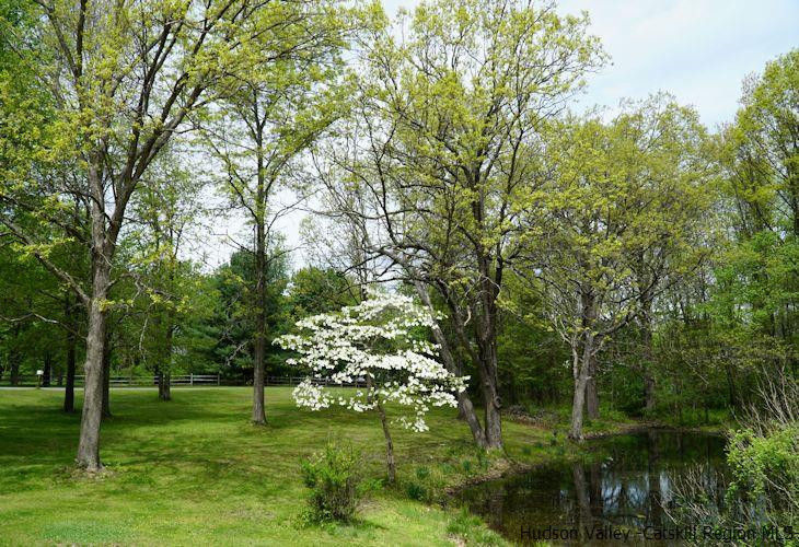 15 Hewlett Road Red Hook, NY 12571 - Photo 4 of 29 a view of a lush green forest