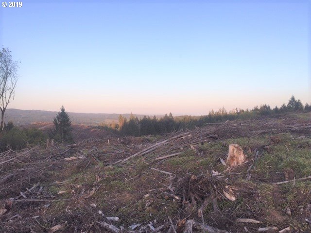 Northwest Gheen Road Manning, OR 97125 - Photo 1 of 9 Gallery Image 1