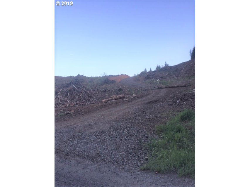 Northwest Gheen Road Manning, OR 97125 - Photo 2 of 9 Gallery Image 2