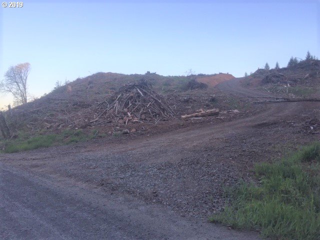 Northwest Gheen Road Manning, OR 97125 - Photo 3 of 9 Gallery Image 3