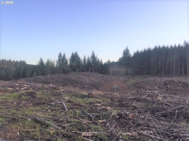 Northwest Gheen Road Manning, OR 97125 - Photo 4 of 9 Gallery Image 4