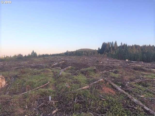 Northwest Gheen Road Manning, OR 97125 - Photo 5 of 9 Gallery Image 5