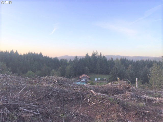 Northwest Gheen Road Manning, OR 97125 - Photo 6 of 9 Gallery Image 6