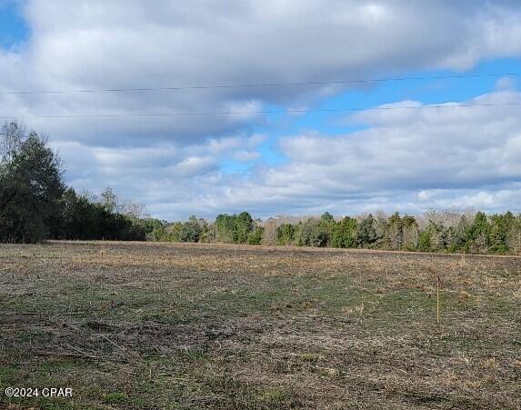 Lot #11 Creek Road Bonifay, FL 32425 - Photo 1 of 3 Gallery Image 1