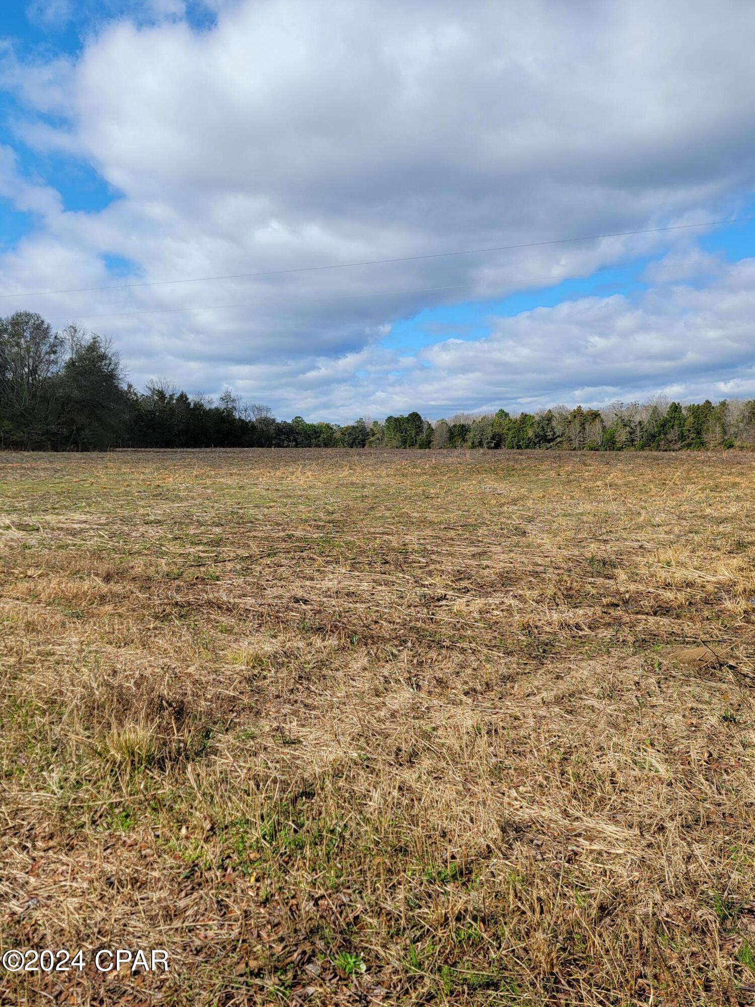 Lot #11 Creek Road Bonifay, FL 32425 - Photo 2 of 3 Gallery Image 2