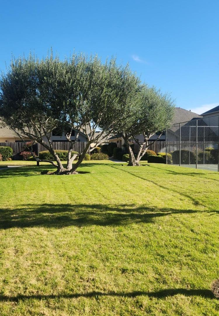 Nissen Road Salinas, CA 93901 - Photo 4 of 5 a view of a swimming pool with an outdoor space and seating area