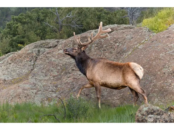 $995,000 | 321 May Avenue, Lyons, CO 80540