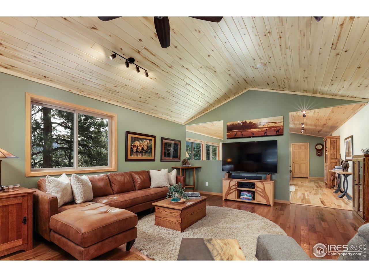 321 May Avenue Lyons, CO 80540 - Photo 8 of 50 a living room with furniture and a flat screen tv