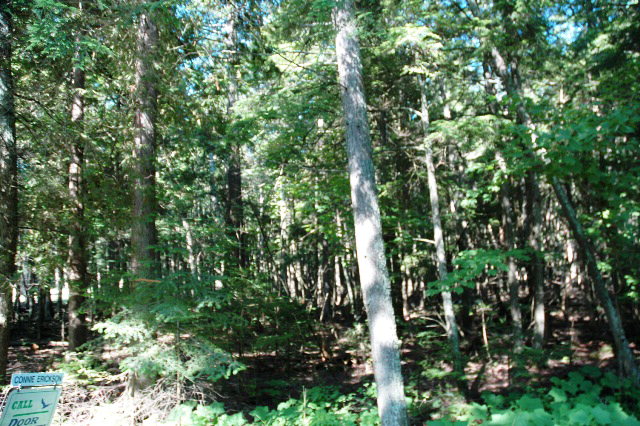 Old Logging Trail Road Baileys Harbor, WI 54202 - Photo 1 of 1