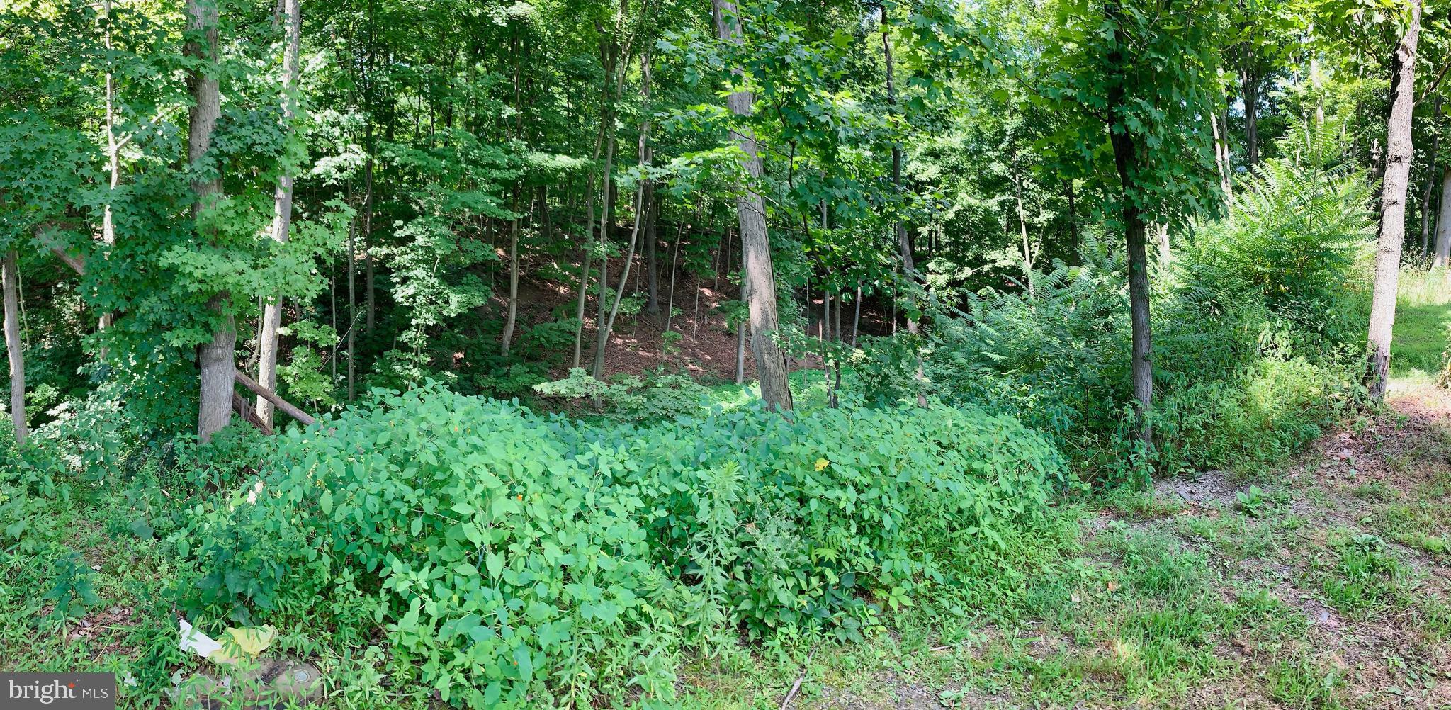 18262 Amberson Road Spring Run, PA 17262 - Photo 19 of 21
