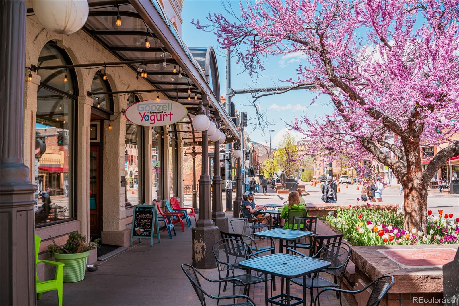 14484 Anvil Way Golden, CO 80403 - Photo 15 of 33