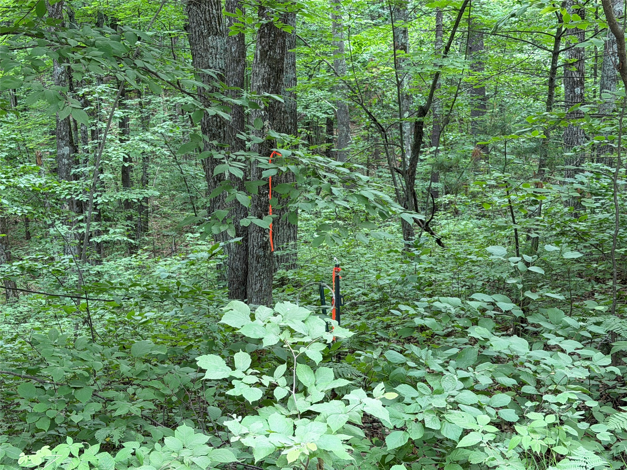 Lot 1 Nor Wis Road North Hayward, WI 54843 - Photo 37 of 37