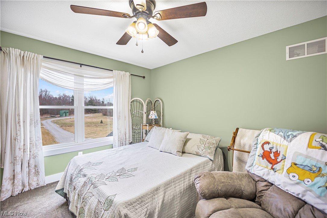 601 Horning Road Atwater, OH 44201 - Photo 19 of 43 Gallery Image 19