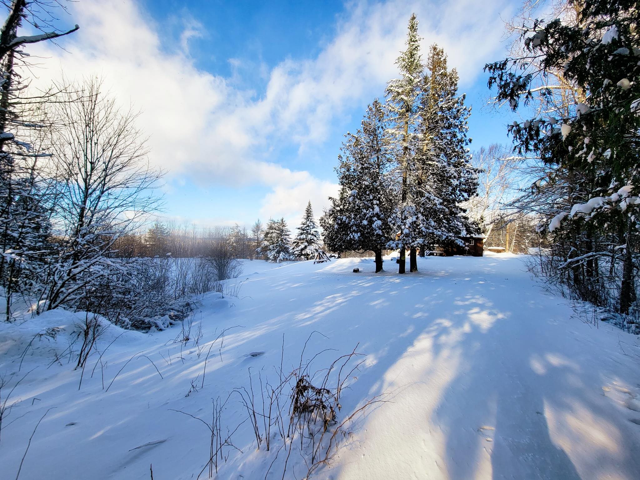 355 Davis Road Marshfield, VT 05667 - Photo 11 of 40