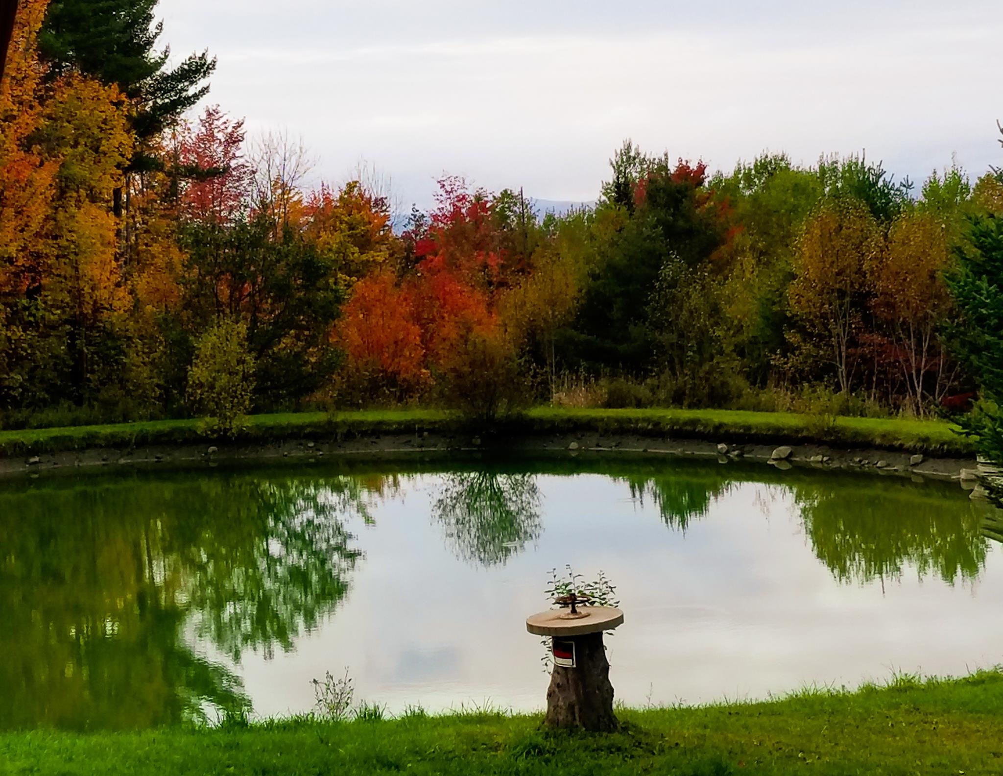 355 Davis Road Marshfield, VT 05667 - Photo 15 of 40