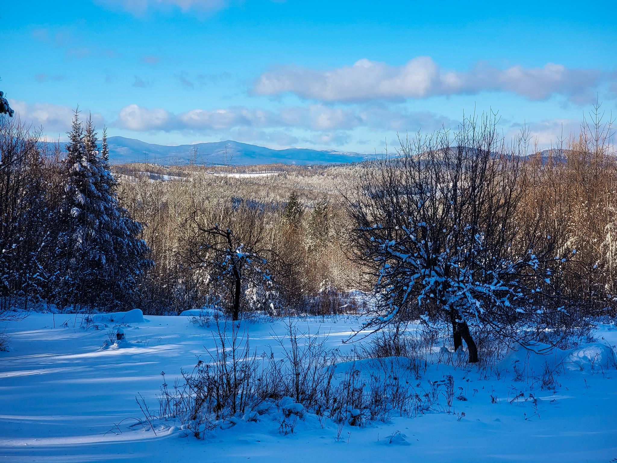 355 Davis Road Marshfield, VT 05667 - Photo 3 of 40