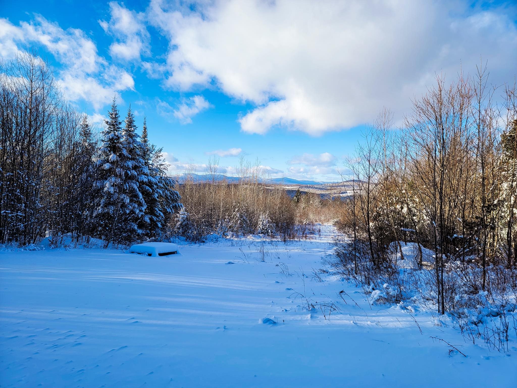 355 Davis Road Marshfield, VT 05667 - Photo 36 of 40